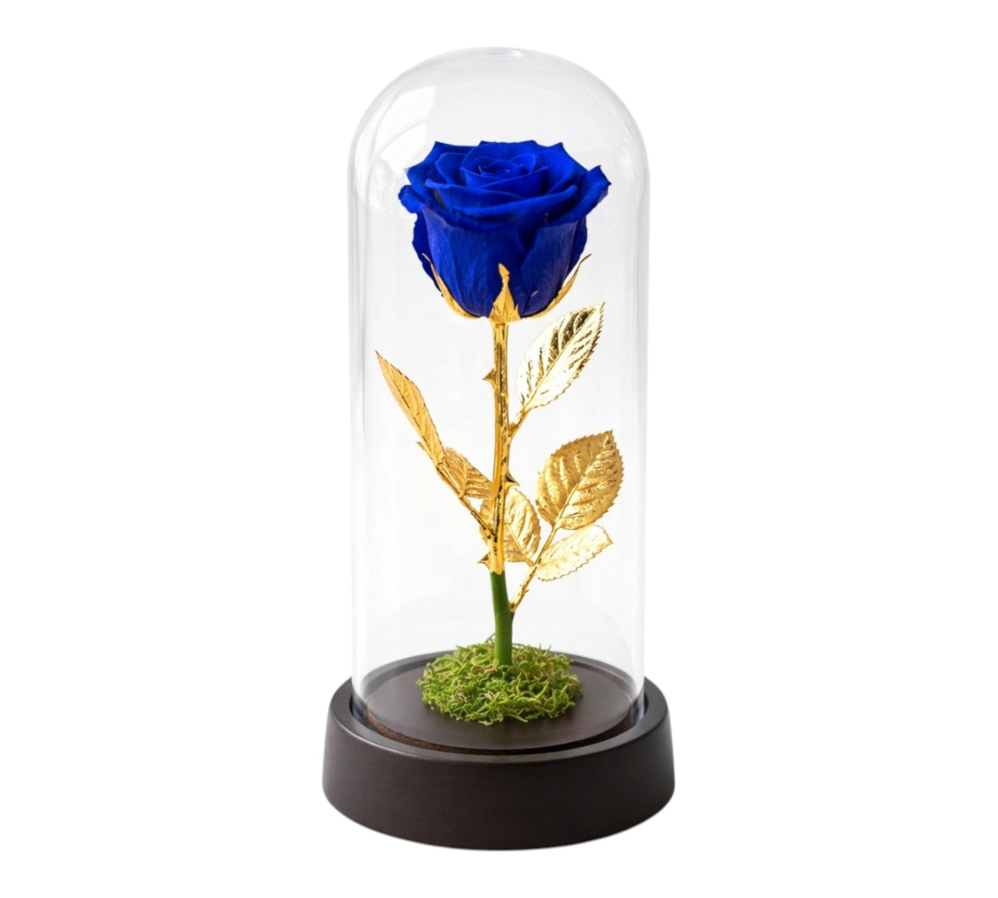 Eternal Rose - Blue