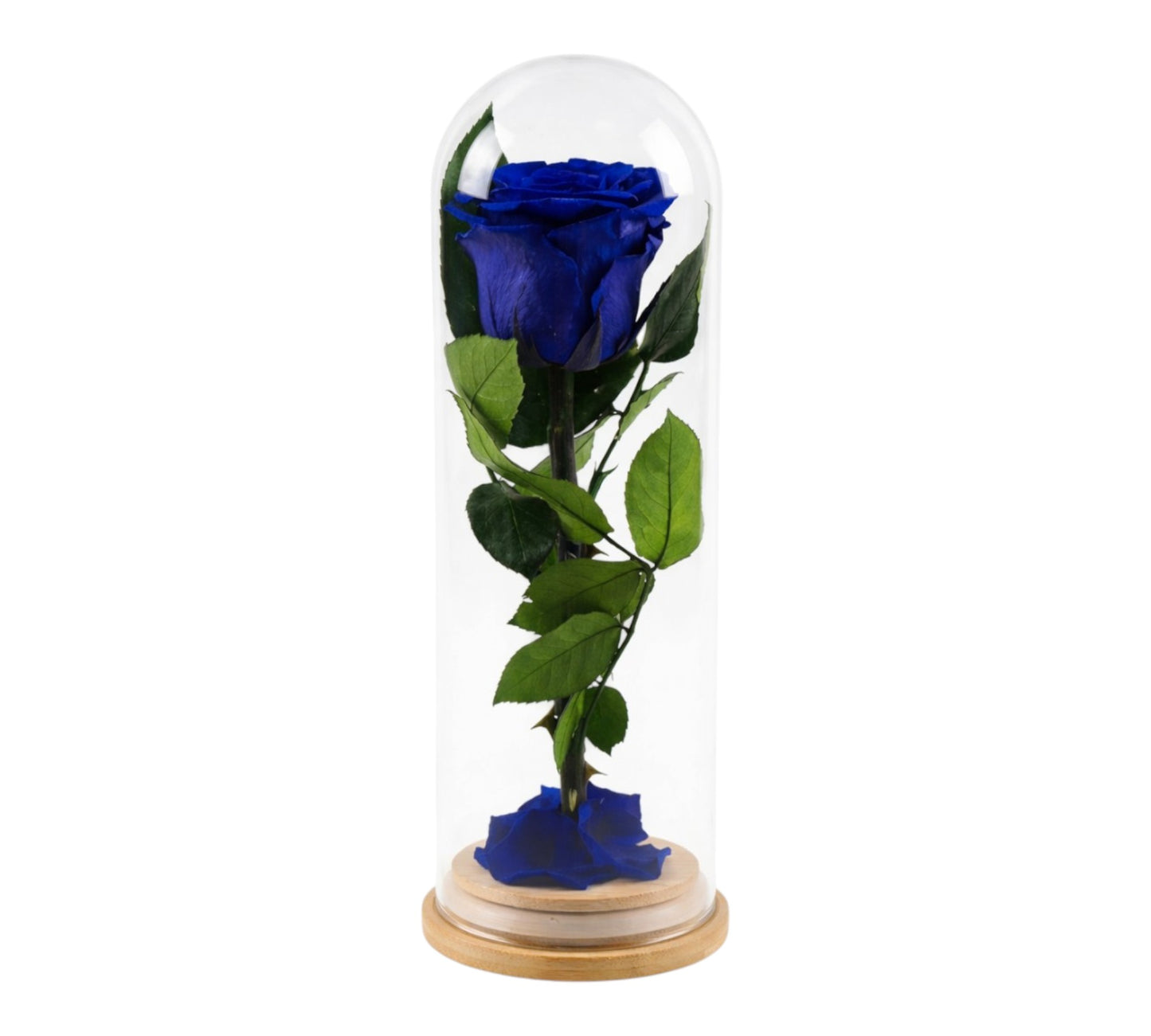 Eternal Eternal Rose - Blue