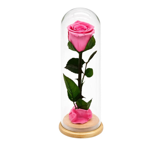 Eternal Rose Pink