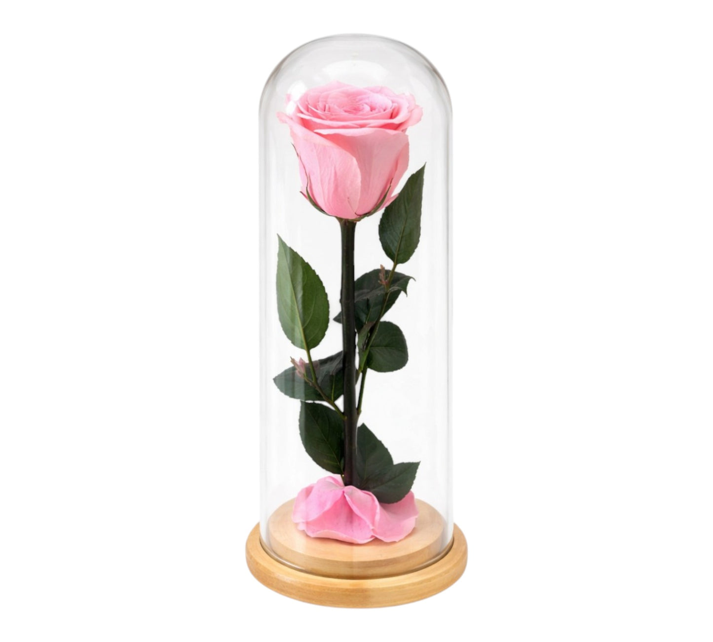 Eternal Eternal Rose - Light Pink