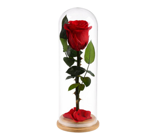 Eternal Rose - Red