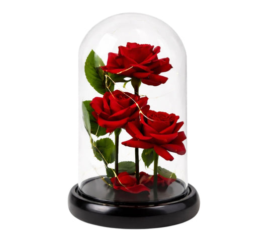 Trio Eternal Roses